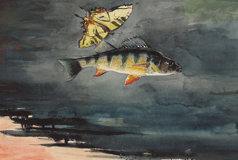 Member Exhibition Tour: CoastLines—American Prints and Drawings