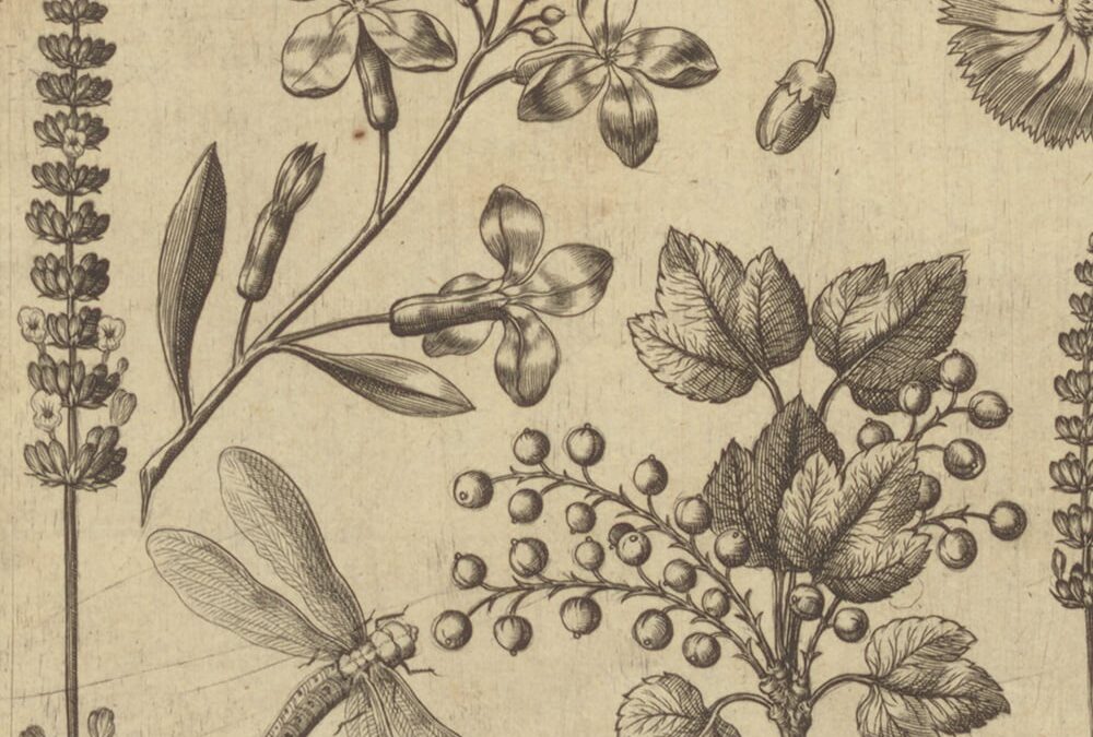 Member Exhibition Tour: Paginations—Birds, Bees, Flowers, and Trees