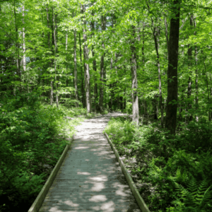 Sensing Nature: From the Outside In