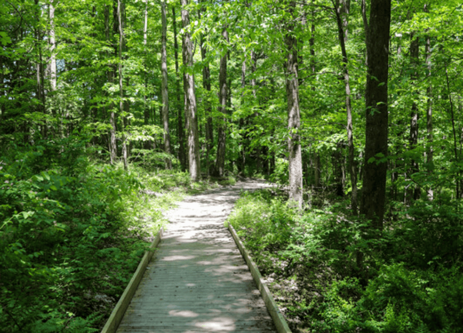 Sensing Nature: From the Outside In