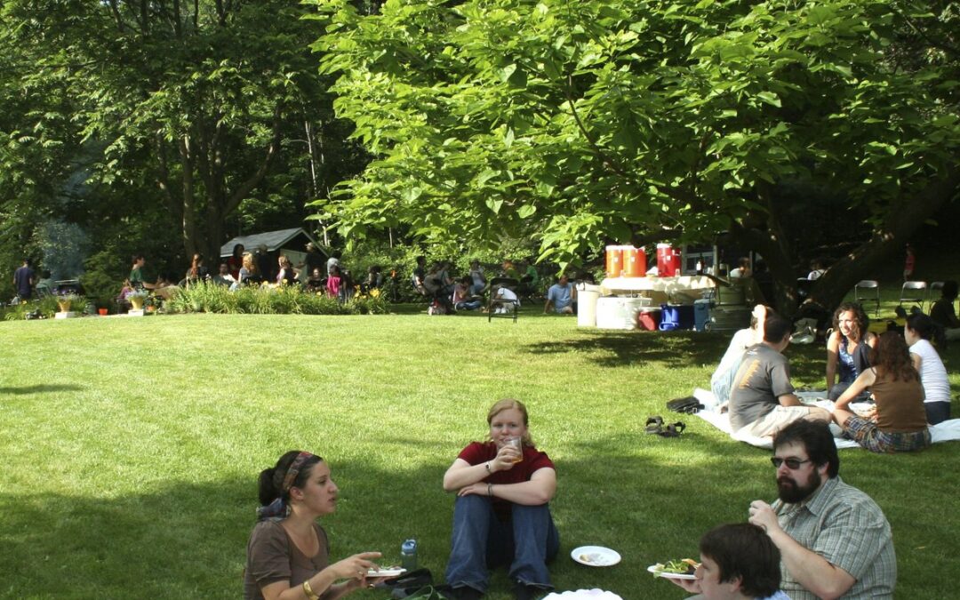 Members Picnic